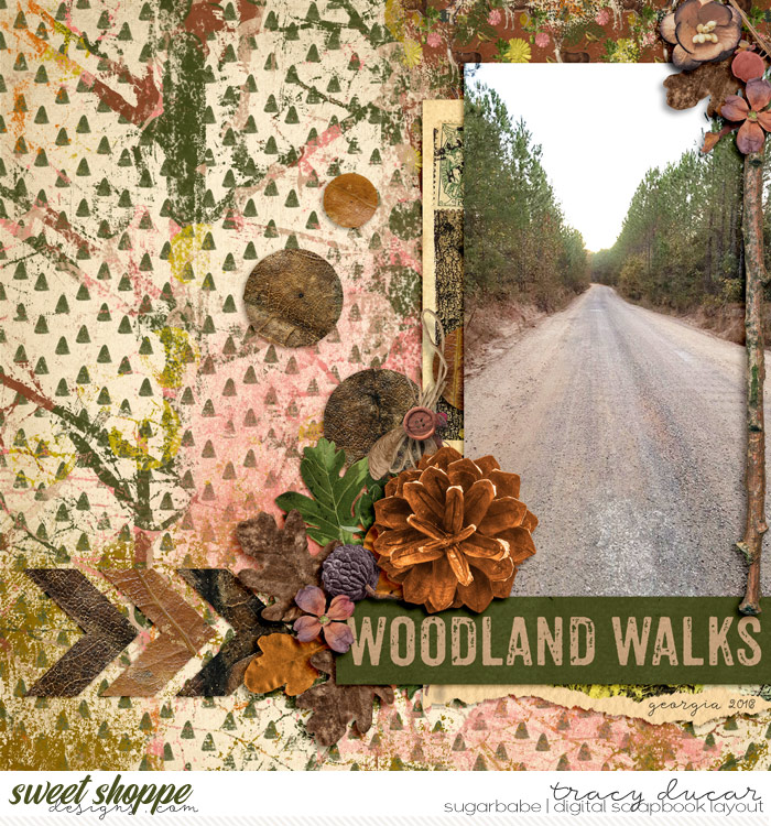 SSD-woodlandwalks700