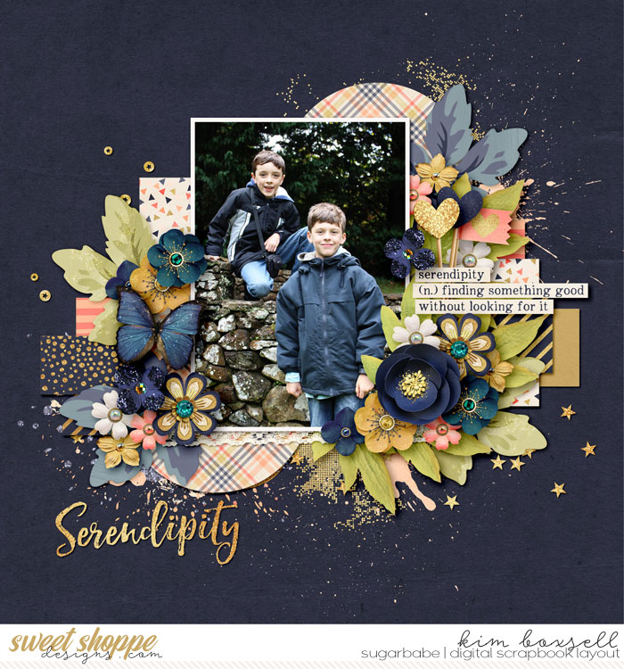 Serendipity_b