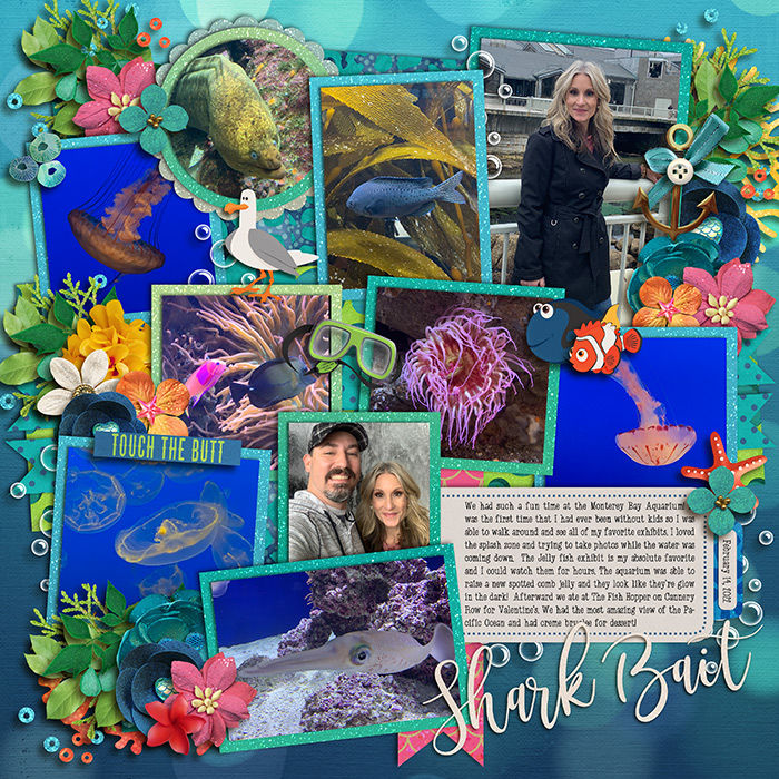SharkBait_700web