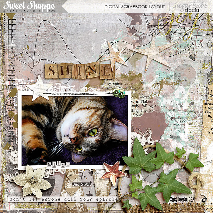 Shine-700wm