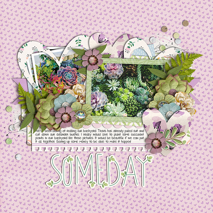 Someday_SSD_mrsashbaugh