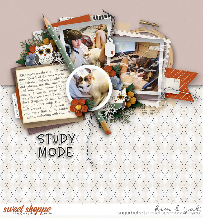 Study-mode_b