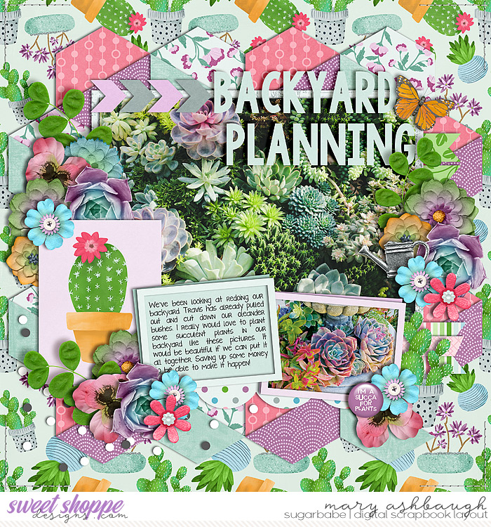 SucculentGarden_SSD_mrsashbaugh