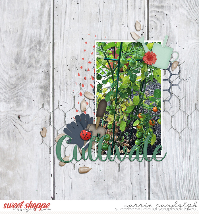 SummerFreshWebWM