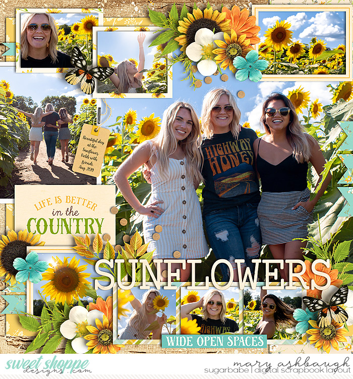 Sunflowers_SSD_mrsashbaugh