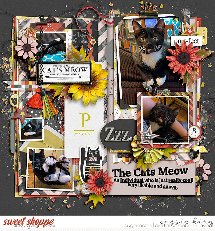 TNP-The-Cat_s-Meow-_BM-Singleton-105_