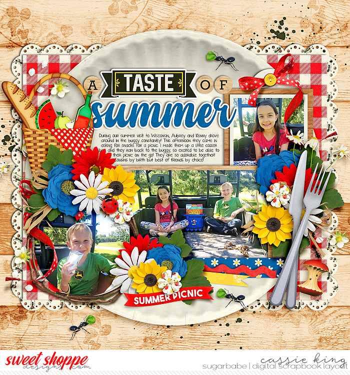 TOT-7a-Summer-Picnic