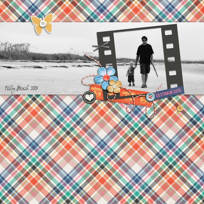 TRMGS_lg