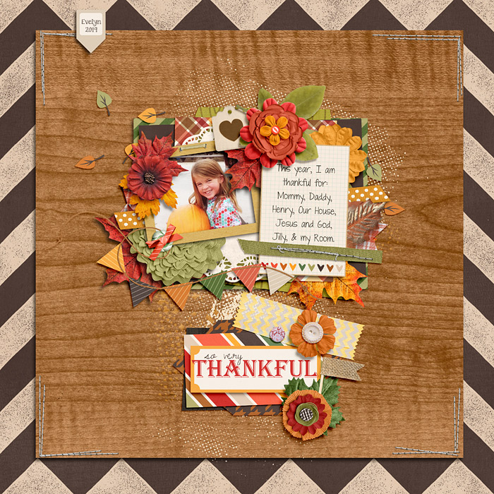 Thankful-2014-E-700