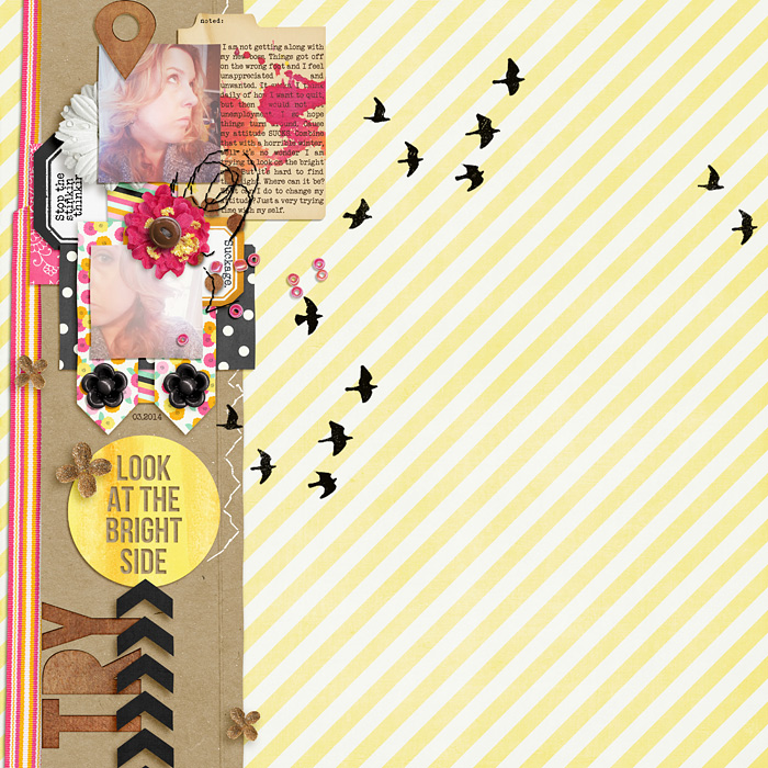TryingLookontheBrightSide-03-14-LG