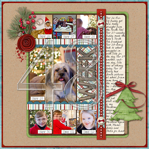WEEK_48_NOV_26-DEC_2