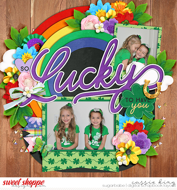 WPD-Lucky-Gnome-_CS-HP-310_