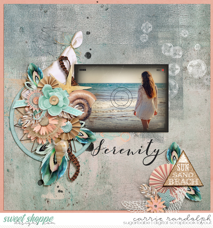 WYC_Frames_TransfersWebWM