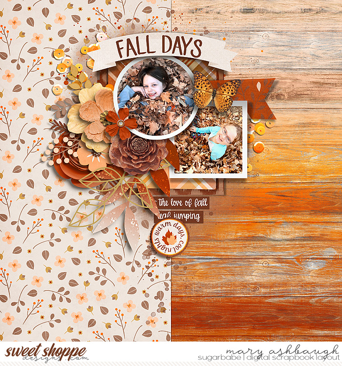 WarmDaysColdNights_SSD_mrsashbaugh