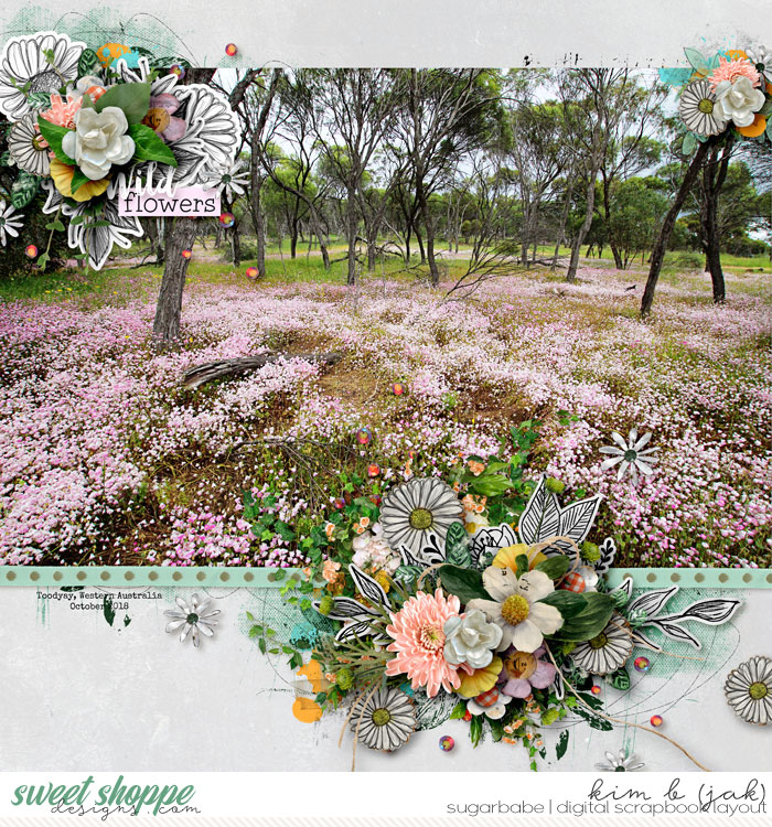 Wild-flowers-WA_b
