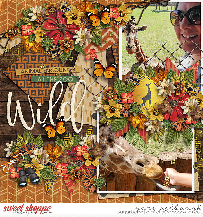 Wild_SSD_mrsashbaugh2