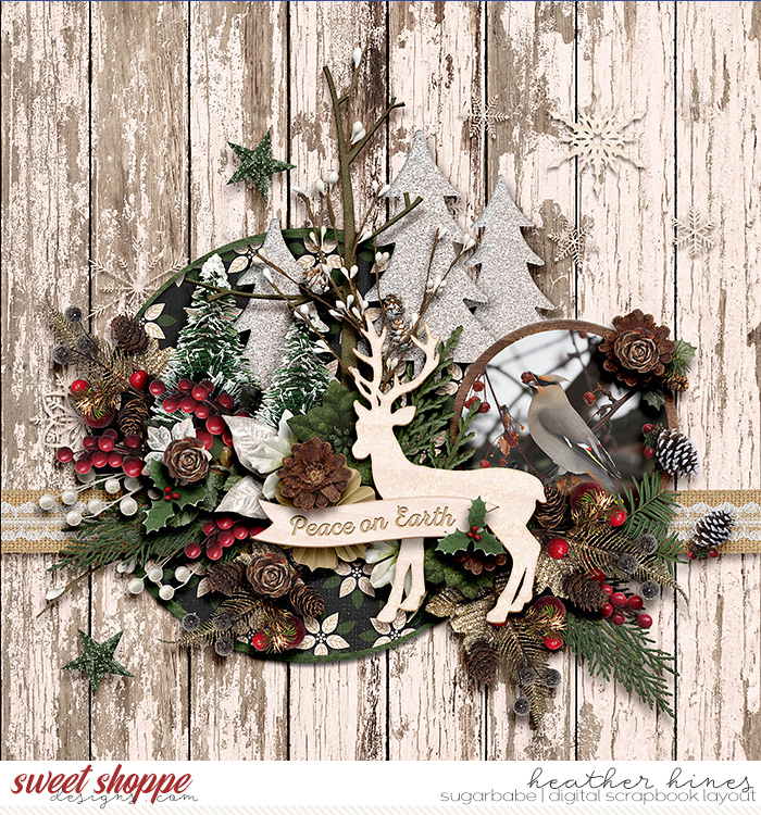Winter-Woods-SB