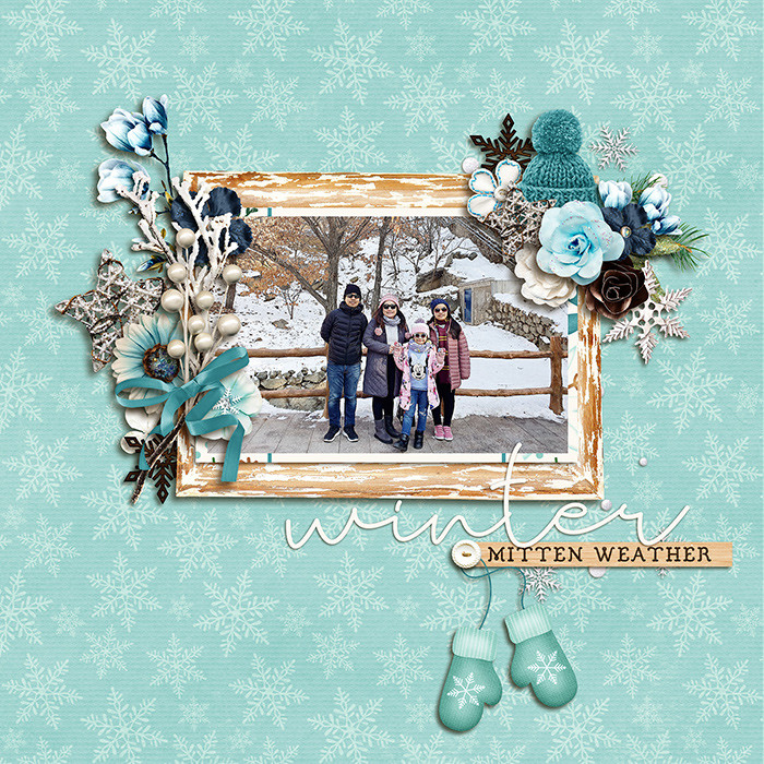Winter-days-copy