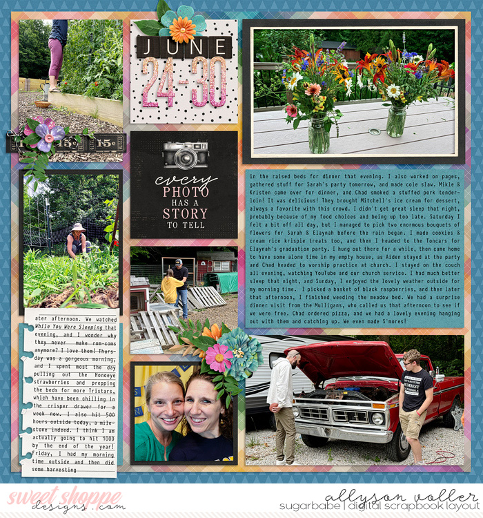 allyane_AdventuresinMemoryKeeping_right_WM