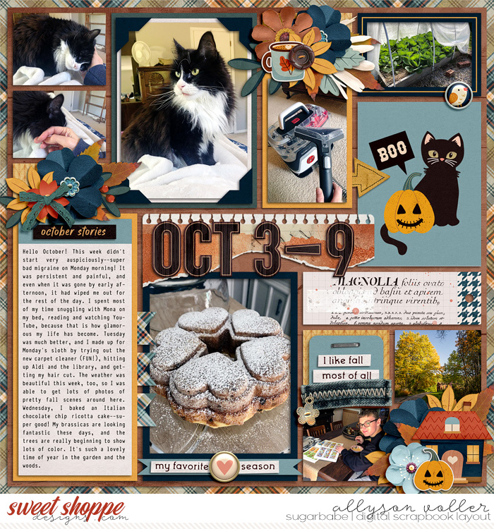 allyanne-AMIROctober_01_WM