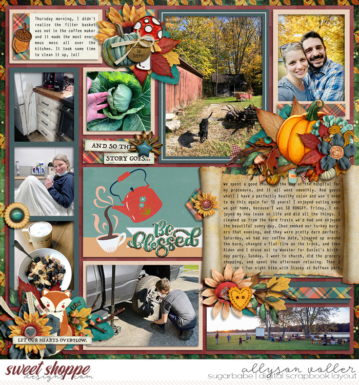 allyanne_42-week-02_WM