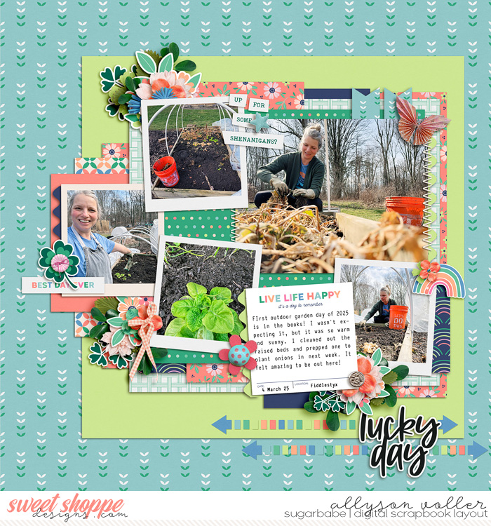 allyanne_4StorySnapshots2_FollowtheRainbow_01_WM
