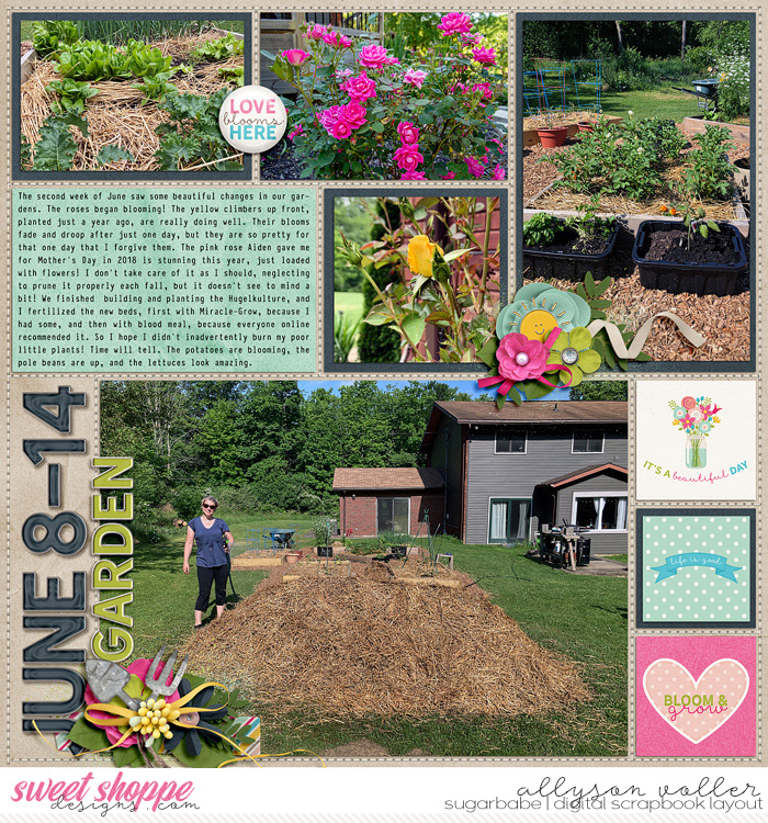 allyanne_8daysaweek_01_WM