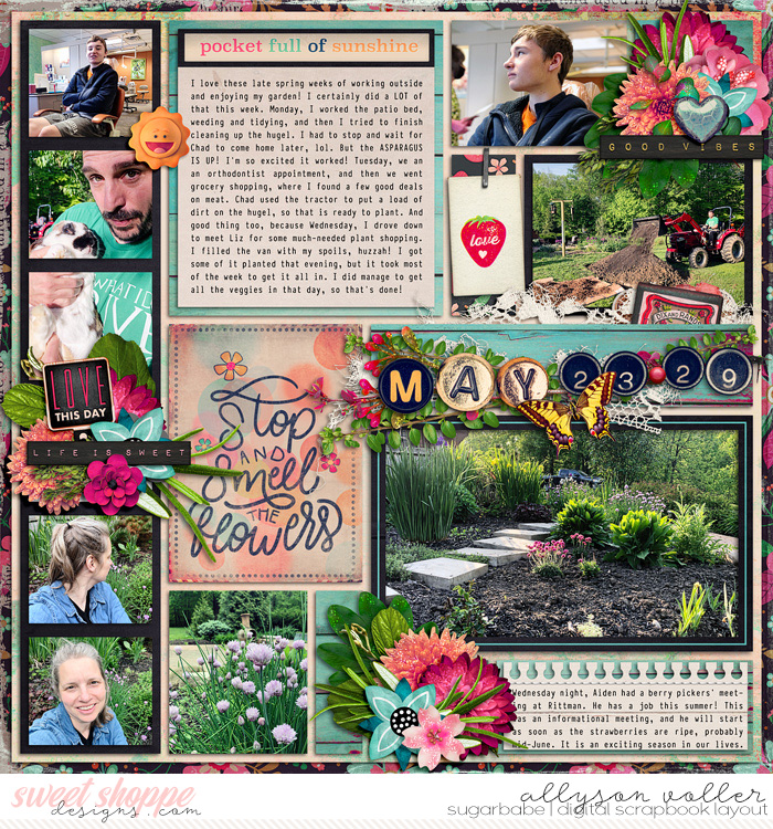 allyanne_ABeautifulDay_01_WM
