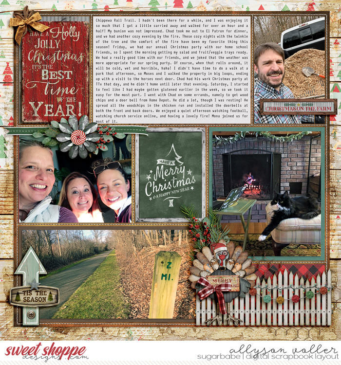 allyanne_ABushChristmas_02_WM