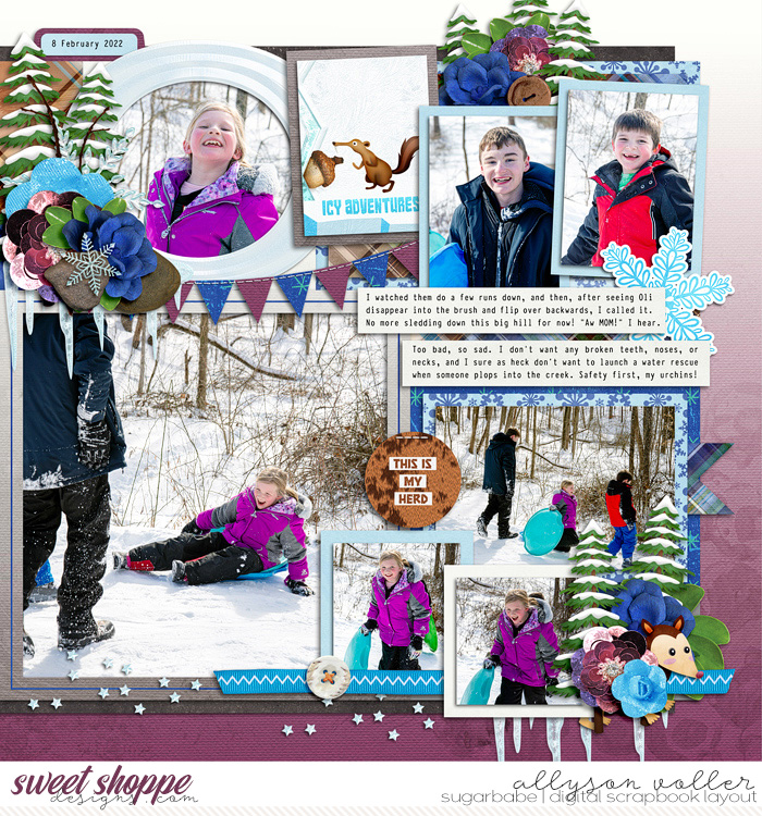 allyanne_ADIcyFriends_02_WM
