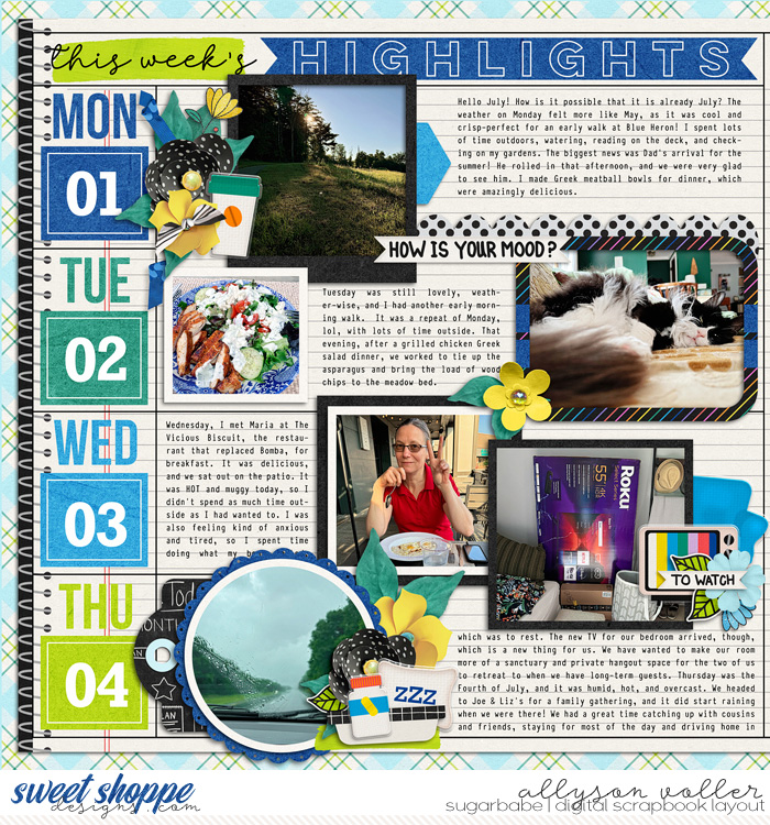 allyanne_AGamePlan_left_WM