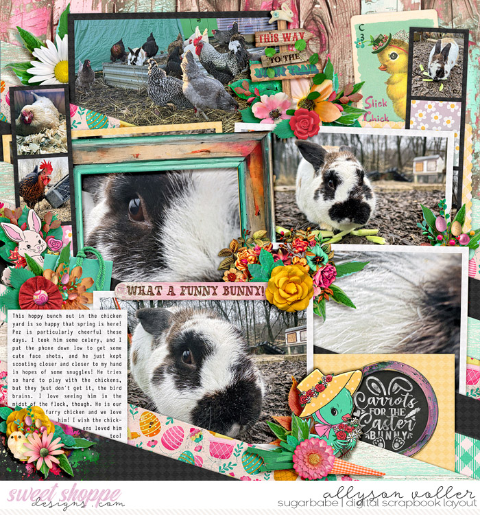allyanne_AHoppyBunch_01_WM