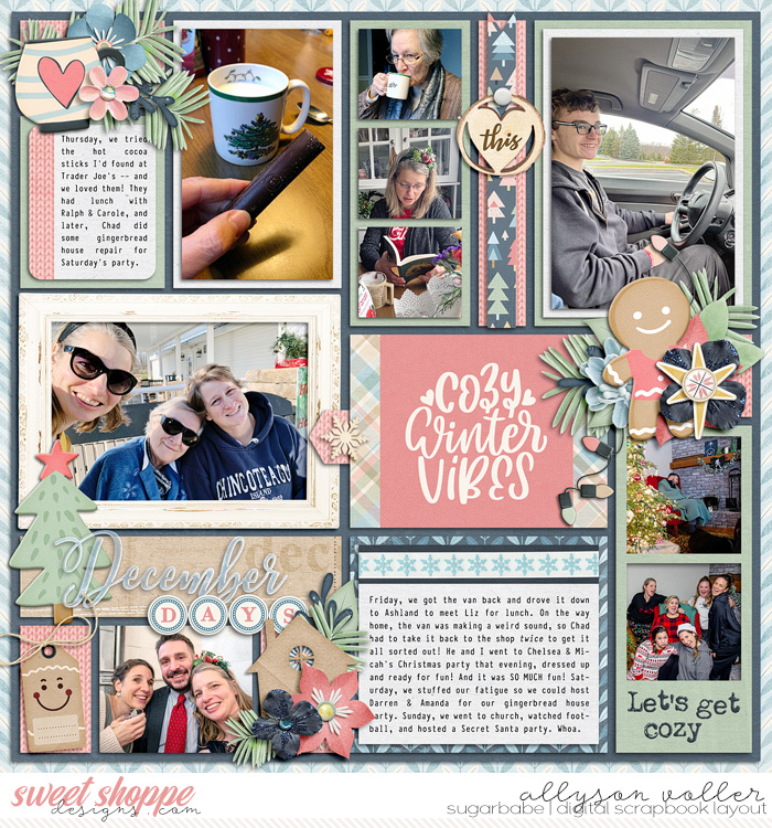 allyanne_AMIRDecember_02_WM