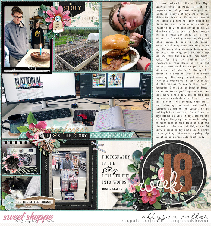 allyanne_AScrapbookTale_01_WM