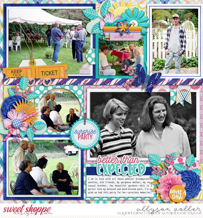 allyanne_ASurprisingDay_01_Palooza129_01_WM