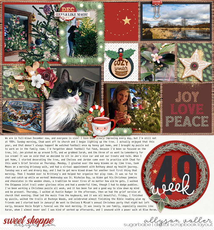 allyanne_AYRDecember_left_WM