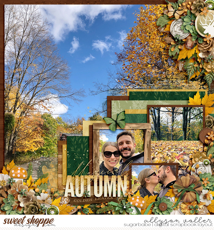 allyanne_AutumnForest_01_WM