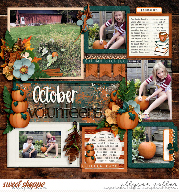 allyanne_AutumnStories_01_WM