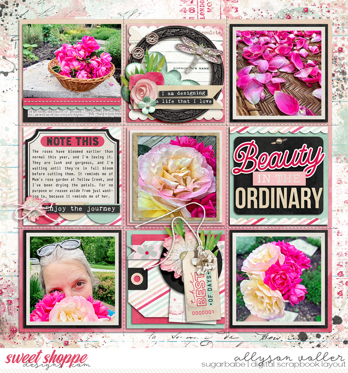 allyanne_BBbgknds_01_AdventuresofLife_01_WM