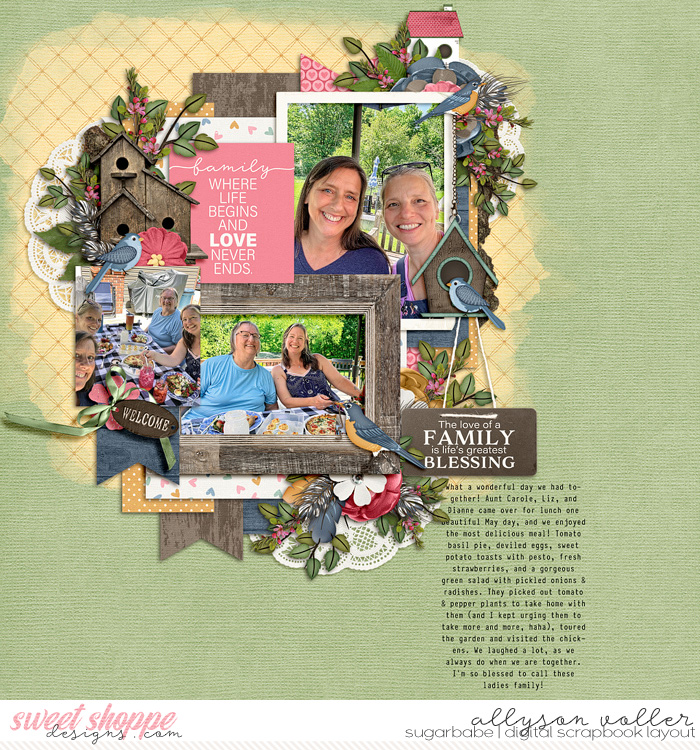 allyanne_BlessThisNest_01_WM