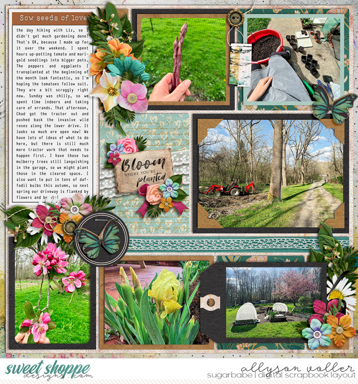 allyanne_CYOA_May_Garden_right_WM