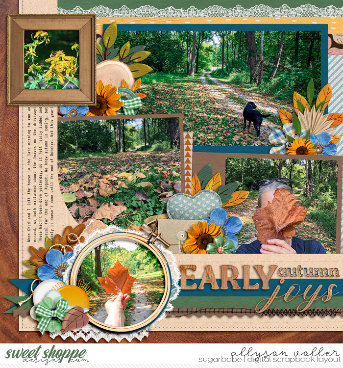 allyanne_DTF16_FallingForSunshine_left_WM