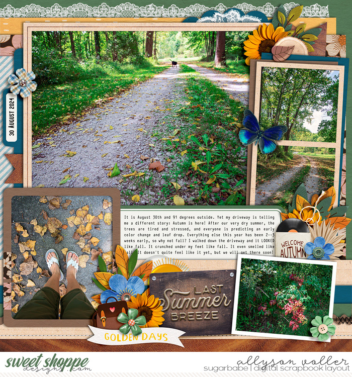 allyanne_DTF16_FallingForSunshine_right_WM