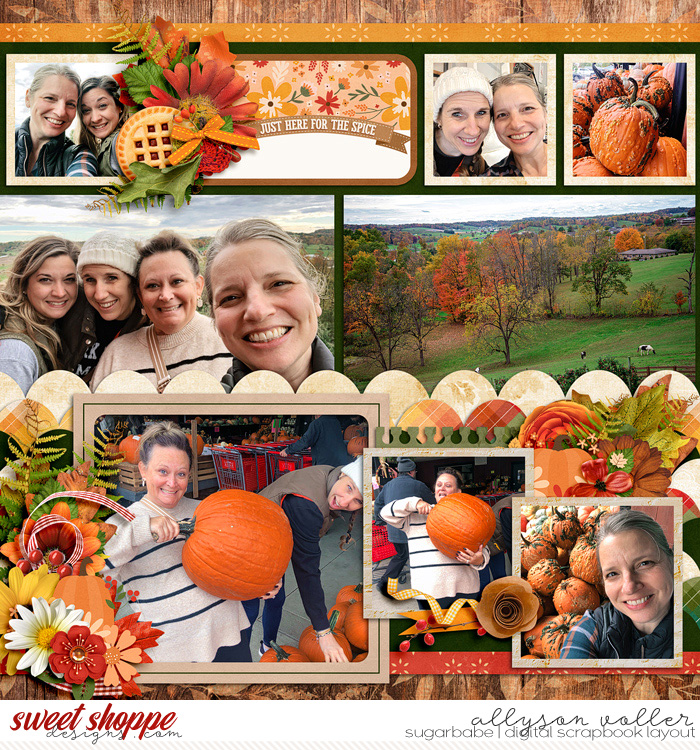 allyanne_DTF26_SBFallCinnamonSpice_left_WM