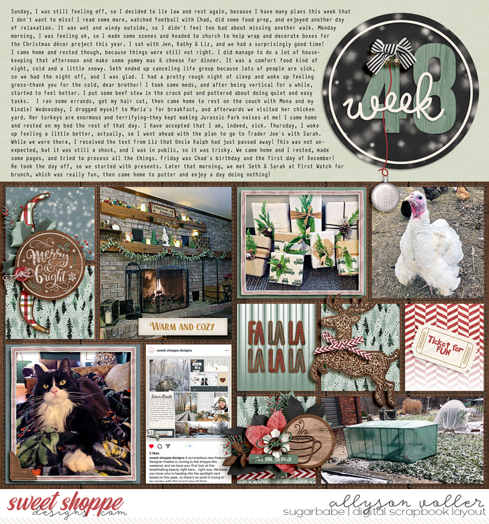 allyanne_DecemberCalendar_left_WM