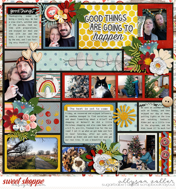 allyanne_GoodThingsAreGoingtoHappen_02_WM