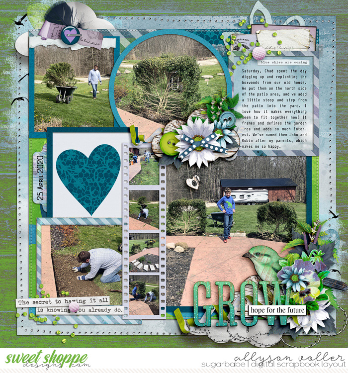 allyanne_HopefortheFuture_01_WM