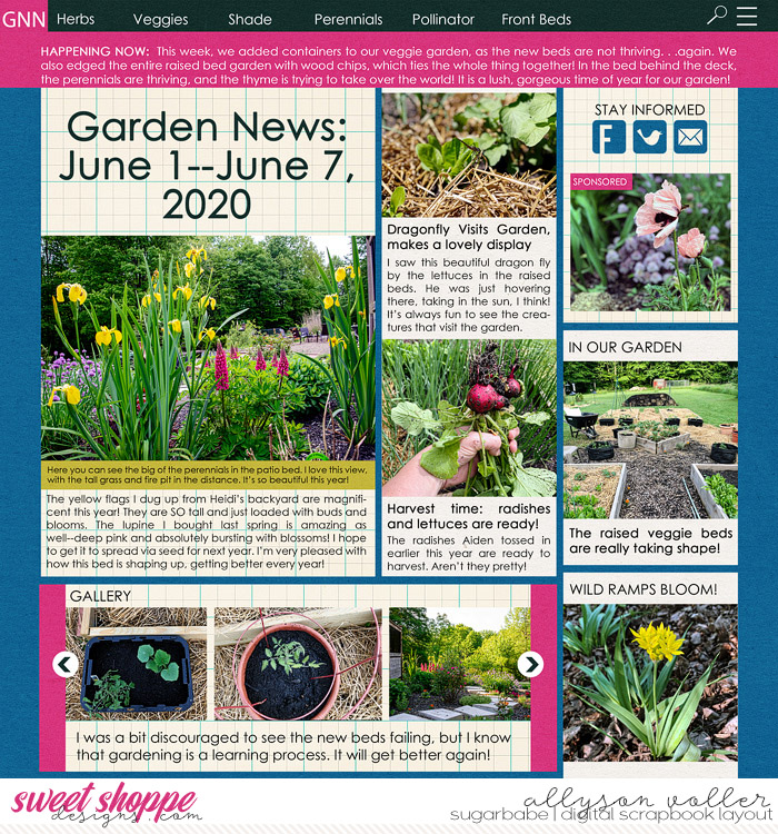 allyanne_IntheNewsAgain_01_WM