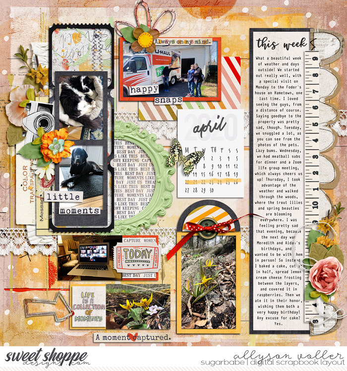 allyanne_LifeIsKeepingMemoriesAlive_01_WM