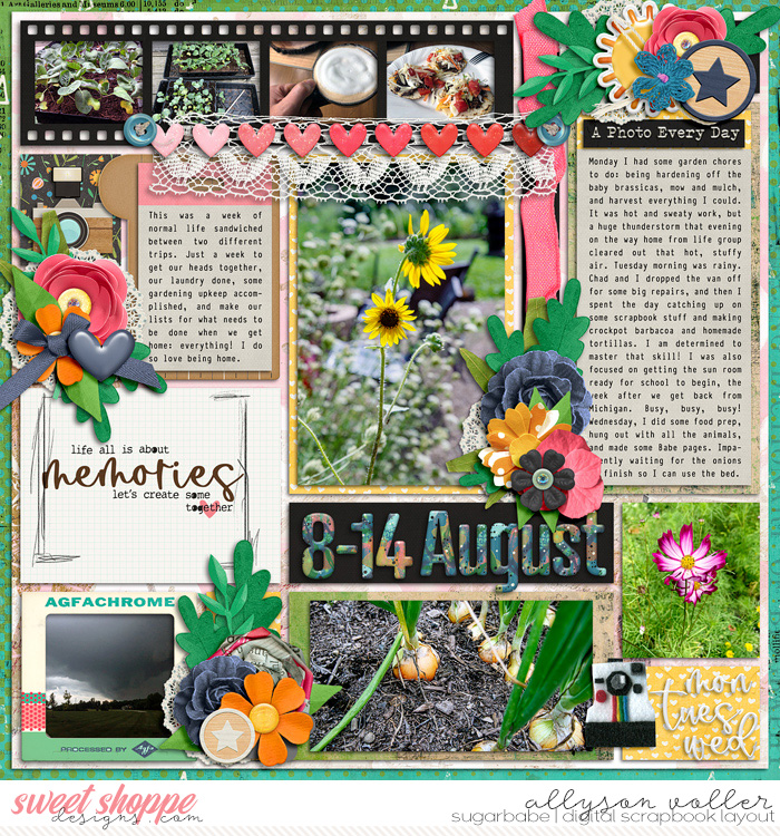 allyanne_MyDayInPhotos_01_WM